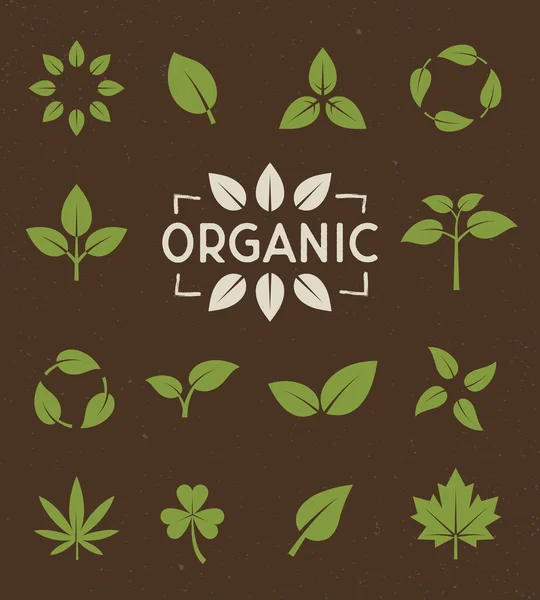 Vector Eco Organic Icons Set Biodegradable Compostable Recycle Concept Leaf — Stock Vector