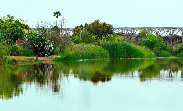 Přírodní Zázemí Parku Ariela Šarona — Stock fotografie