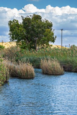 İsrail dağı Gilboa Güzel manzara