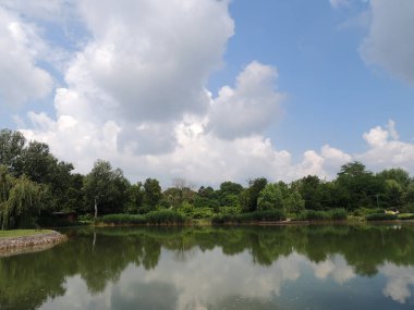 Göllü bir parkın manzarası