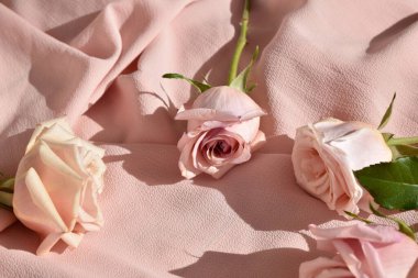 Pembe arka planda pembe güller