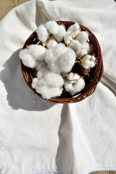 cotton flowers in basket on white fabric, top view