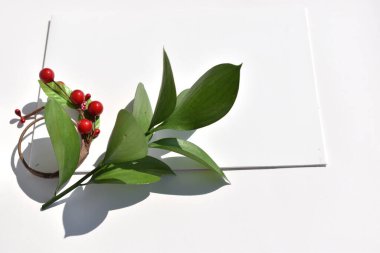 Yeşil dallı, muhteşem süslemeli, ökseotu üzümlü, beyaz, boş. Model 