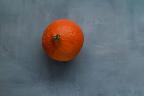 Mała Dojrzała Piękna Pyszna Pomarańczowa Dynia Leżąca Burgundowym Rustykalnym Tle — Zdjęcie stockowe