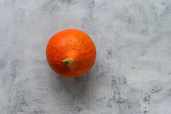 Mała Dojrzała Piękna Pyszna Pomarańczowa Dynia Leżąca Szarym Rustykalnym Tle — Zdjęcie stockowe