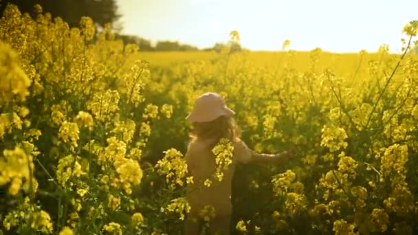 Μικρό Χαριτωμένο Κορίτσι Που Περπατά Μέσα Από Όμορφα Κίτρινα Χωράφια — Αρχείο Βίντεο