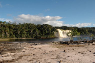 Aruba, Caribe 'de kumlu ve mavi gökyüzüyle inanılmaz bir kumsal.
