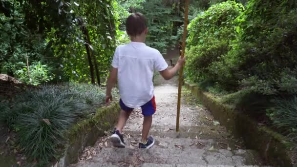 一个穿着白色T恤的男孩走下楼去森林里的楼梯 — 图库视频影像