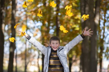 Autumn portrait of a child in autumn yellow leaves.Happy child in the park outdoors, scatters leaves