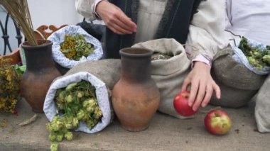 Linen bag filled with dried medicinal herbs. Horsetail, St. John's wort, chamomile, fresh apples.