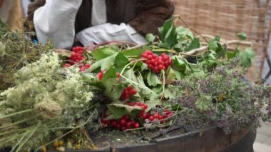 A juicy branch of viburnum lies in lavender and dill in the center of a rustic table.