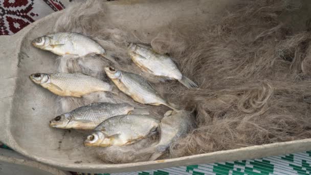 Αποξηραμένα Ψάρια Του Ποταμού Βρίσκονται Μια Ξύλινη Γούρνα Διακοσμημένη Βιτρίνα — Αρχείο Βίντεο