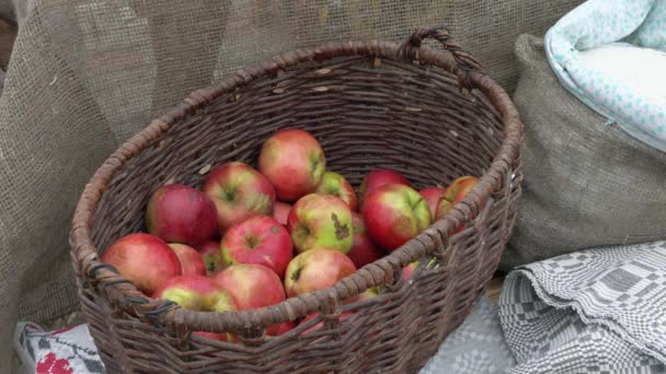 Wicker Basket Ripe Colorful Apples Village — Stockvideo