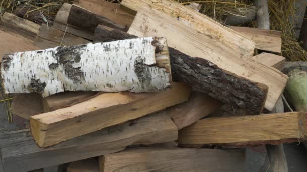 Pine Birch Firewood Prepared Boiler Lies Wooden Pallet — Video Stock