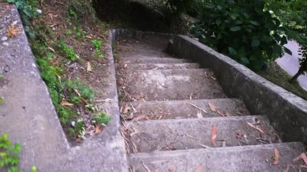 急なコンクリート階段が降りてくる — ストック動画