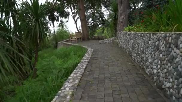 Walking Path Stone Blocks Park Backdrop Green Grass — Stock video
