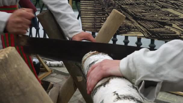 Hands Hand Saw Two Sawing Birch Log — Stockvideo
