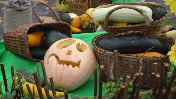 Pumpkin Carved Shape Halloween Head Baskets Pumpkins Fair — Stockvideo