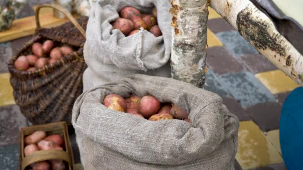 Collect Potatoes Bag Basket — Vídeo de Stock