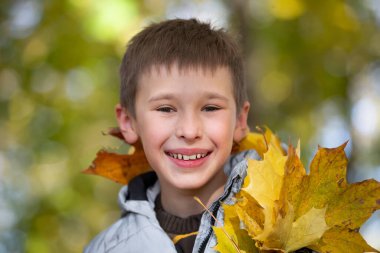 Autumn portrait of a child in autumn yellow leaves.Beautiful child in the park outdoors, october season