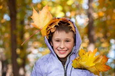 Autumn portrait of a child in autumn yellow leaves.Beautiful child in the park outdoors, october season