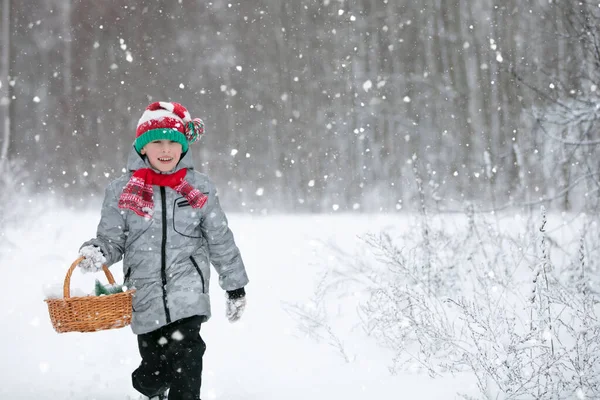 Мальчик Гуляет Зимнему Лесу Рождественской Корзиной — стоковое фото