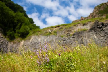 Mountain landscape. Landscape of mountains and green meadows.