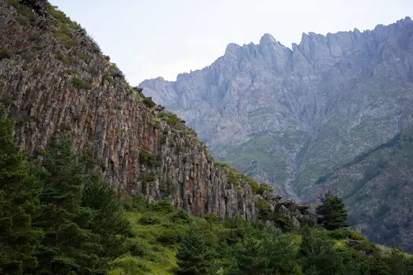 Πράσινη Ερυθρελάτη Στο Φόντο Των Βραχωδών Βουνών Της Γεωργίας — Φωτογραφία Αρχείου