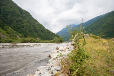 Dağ nehri güzel dağların ve gökyüzünün arkaplanına karşı.