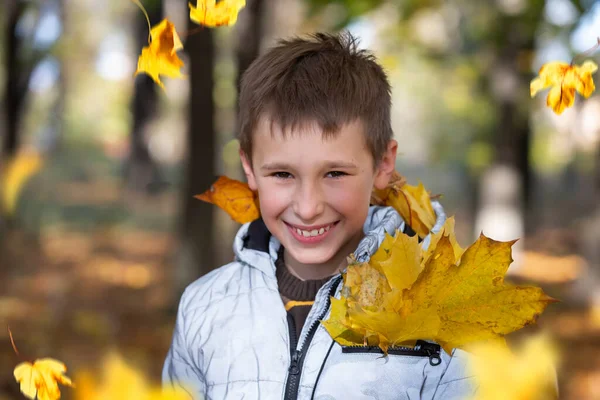 Autumn portrait of a child in autumn yellow leaves.Beautiful child in the park outdoors, october season