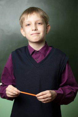 Portrait of a schoolboy at the blackboard. The boy in the classroom is looking at the camera.