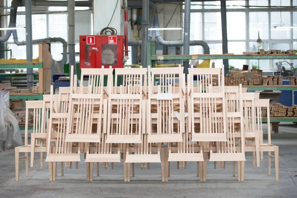 Furniture production from a natural tree. Production of chairs at the factory.