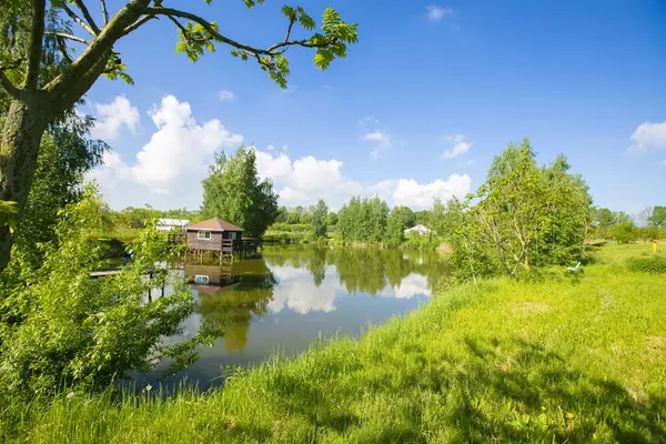Rural scene. Summer landscape with green grass and a small pond.