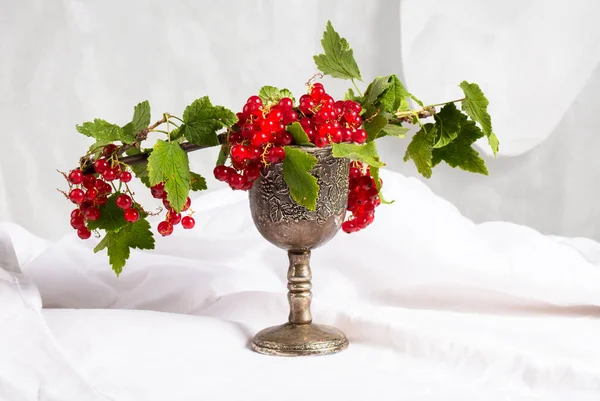 白い背景の銀ガラスの赤いスグリの果実 ベリーと古典的な静物画 — ストック写真