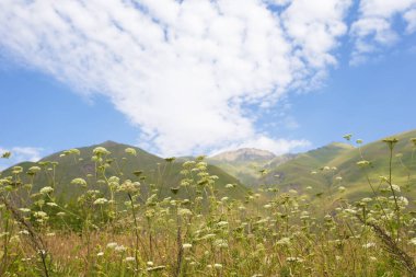 Dağ manzarası. Mavi gökyüzüne karşı güzel dağlar ve çayırlar..