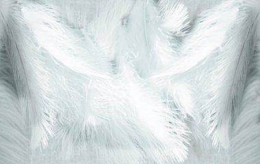 Beyaz tüylü tüyler. Tüy arkaplanı.