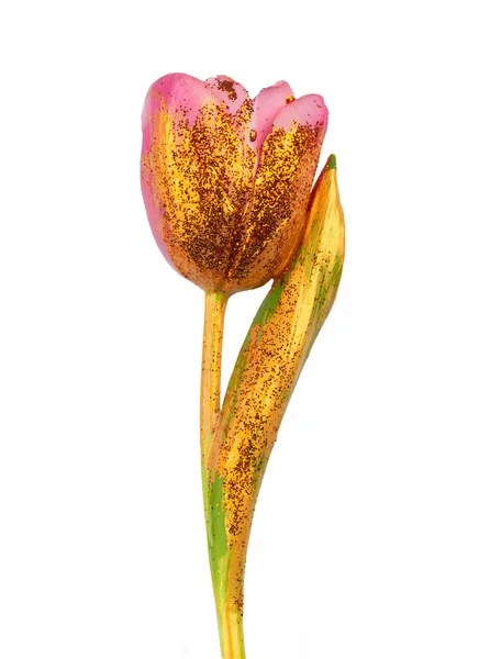 Gyönyörű Virág Borított Arany Festék Egy Fehér Háttér Arany Tulipán — Stock Fotó