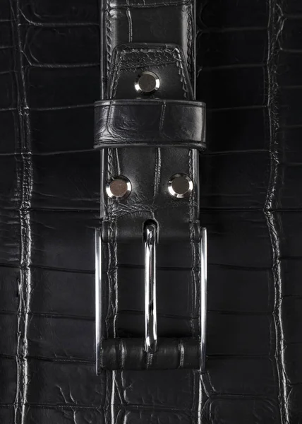 Black leather belt with a metal plaque close-up on a gray background.