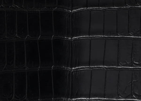 グラデーションの黒い高価なワニの皮 ワニの皮から成っている高価なプロダクト — ストック写真