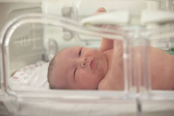 Новорожденный Недоношенный Ребенок Отделении Интенсивной Терапии — стоковое фото