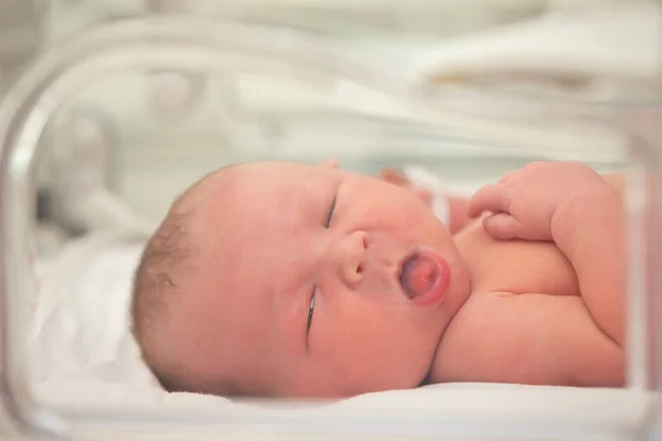 医疗婴儿孵化器中的新生儿 免版税图库照片