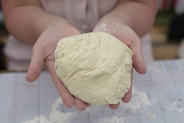 Kadın Elleri Hamuru Fırın 'a koymadan Önce Otu Tutar