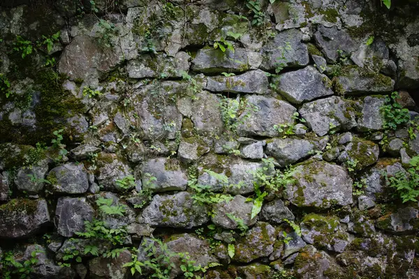 Çeşitli şekillerde kaya parçaları ve filizlenmiş bitkilerle dolu taş bir duvarın dokusu..