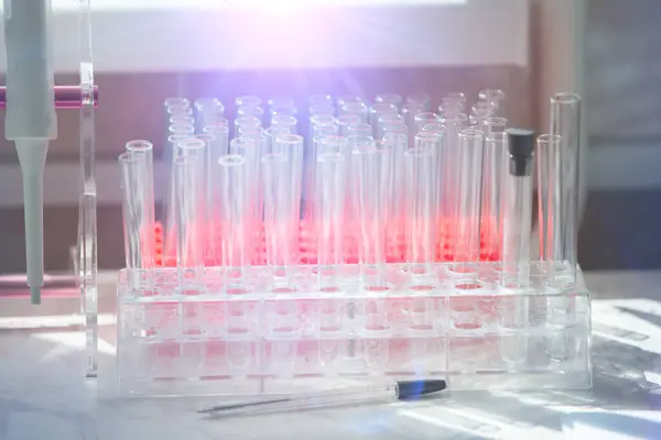Medical test tubes in blue lighting.Laboratory with test tubes.