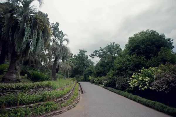 Belo Caminho Parque Verão Cores Quentes Jardim Botânico — Fotografia de Stock