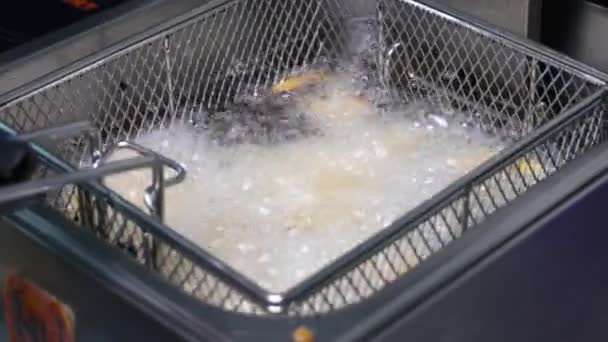 Close Batatas Fritas Sendo Preparadas Equipamentos Restaurante Fast Food — Vídeo de Stock