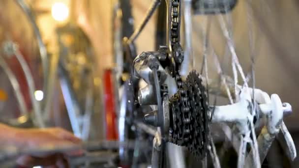 Mecánico Bicicletas Taller Limpia Unidad Bicicleta — Vídeo de stock