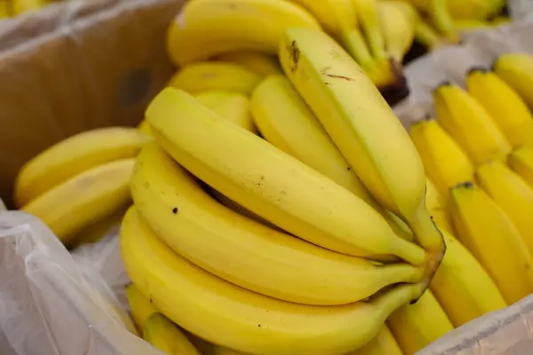Muchas Ramas Plátano Una Caja Cartón Venta Fotos de stock