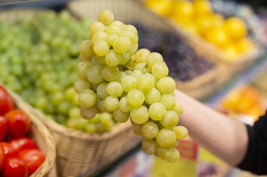 Eller bulanık bir tezgahın arka planında bir demet yeşil üzüm tutuyor..