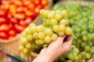 Eller bulanık bir tezgahın arka planında bir demet yeşil üzüm tutuyor..